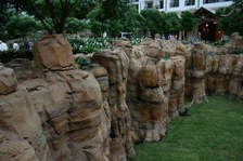 Enlarge photo 12