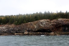 Enlarge photo 50