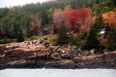 Enlarge photo 56