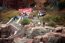 Enlarge photo 58
