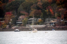 Enlarge photo 71