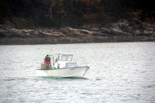 Enlarge photo 82