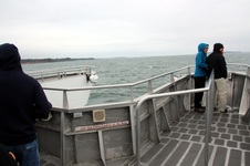 Enlarge photo 103