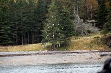 Enlarge photo 128