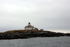 Enlarge photo 131