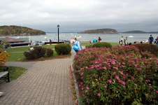 Enlarge photo 167