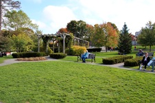 Enlarge photo 168