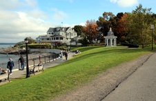 Enlarge photo 175