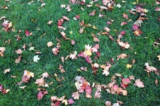 Enlarge photo 178