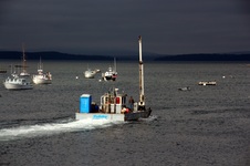 Enlarge photo 181