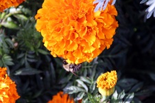 Enlarge photo 194