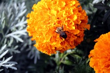 Enlarge photo 195