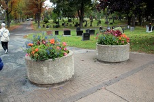 Enlarge photo 37