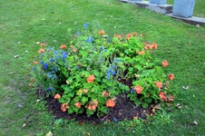 Enlarge photo 53