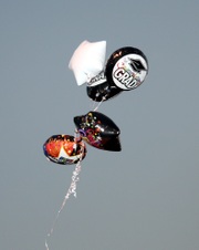 Enlarge photo 131