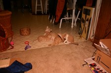 Enlarge photo 27