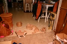 Enlarge photo 28