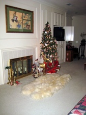 Enlarge photo 59