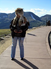 Enlarge photo 15