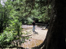 Enlarge photo 22