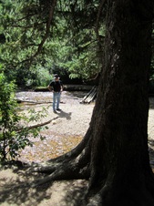 Enlarge photo 23