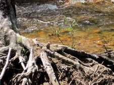 Enlarge photo 24