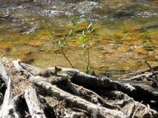 Enlarge photo 25