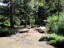 Enlarge photo 27