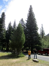 Enlarge photo 33