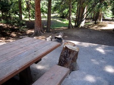 Enlarge photo 34