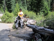 Enlarge photo 35