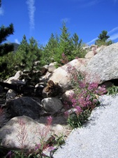 Enlarge photo 38