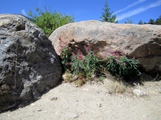 Enlarge photo 39