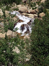 Enlarge photo 41
