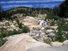 Enlarge photo 44