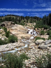 Enlarge photo 45