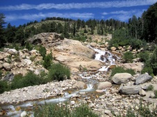 Enlarge photo 46