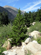 Enlarge photo 48