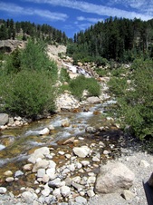 Enlarge photo 49