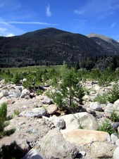 Enlarge photo 50