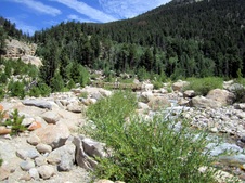 Enlarge photo 51