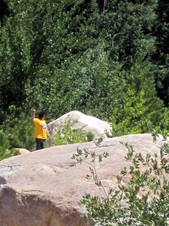 Enlarge photo 52
