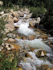 Enlarge photo 53