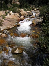Enlarge photo 54