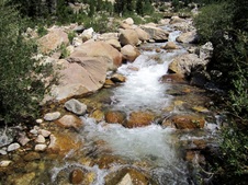 Enlarge photo 55