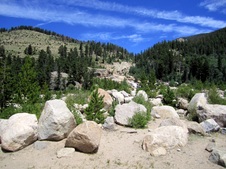 Enlarge photo 56