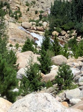 Enlarge photo 59