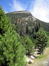 Enlarge photo 61