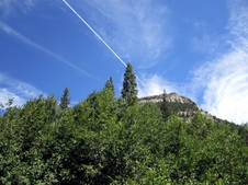 Enlarge photo 62
