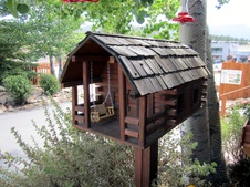 Enlarge photo 64